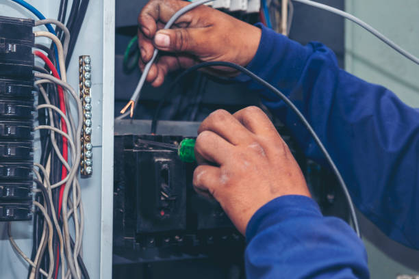 Best Affordable Electrician  in Zeeland, MI