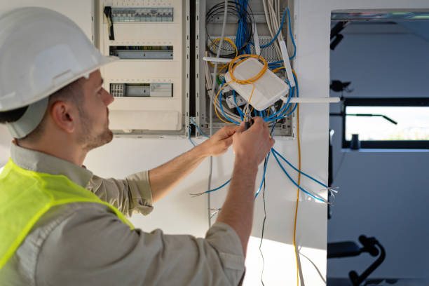 Best Electrical Upgrades for Homes  in Zeeland, MI